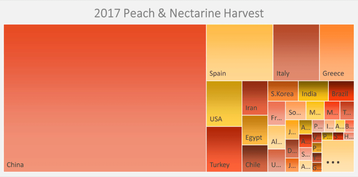 Graph of the peach and nextarine harvest